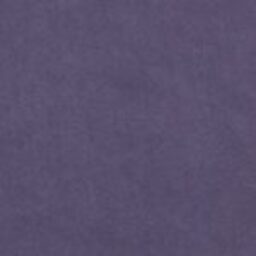 Venus-Velvet-2939