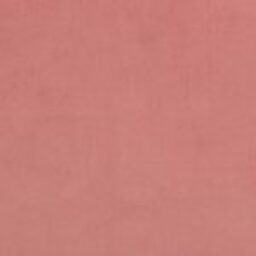Magic-Velvet-2258