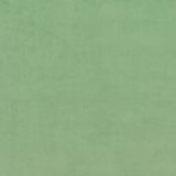 Magic-Velvet-2236